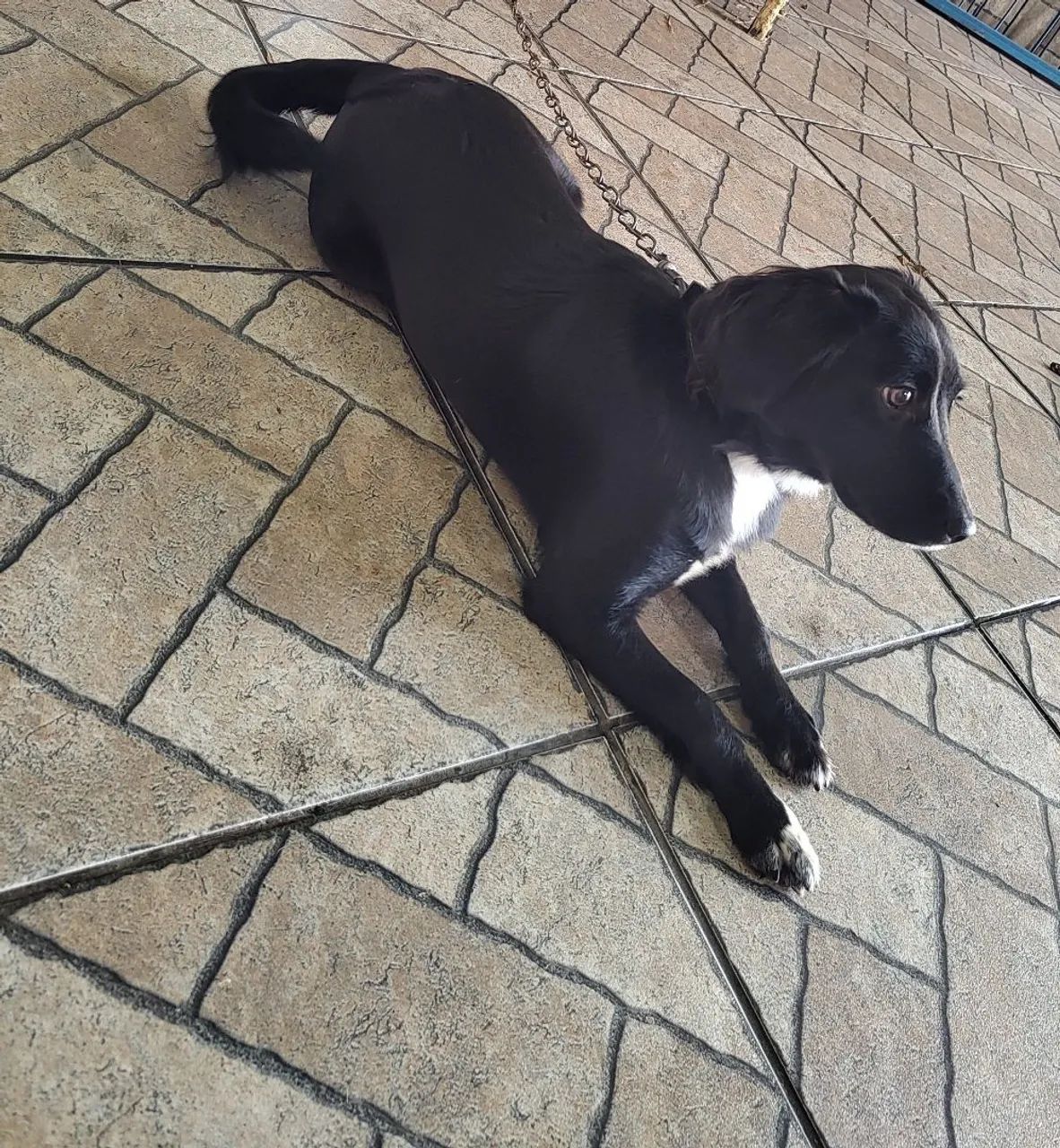 Doação  - Foto 2
