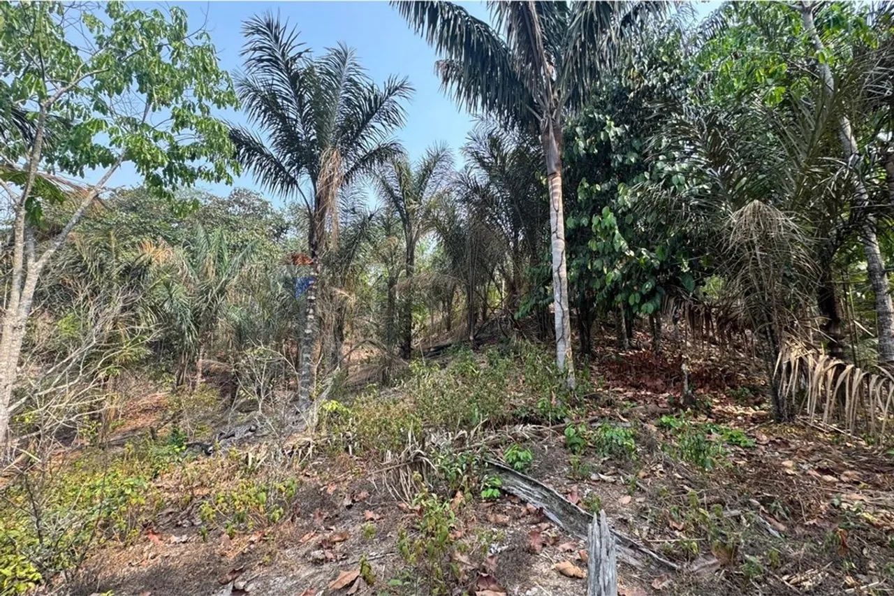 Sitio exclusivo - Foto 2