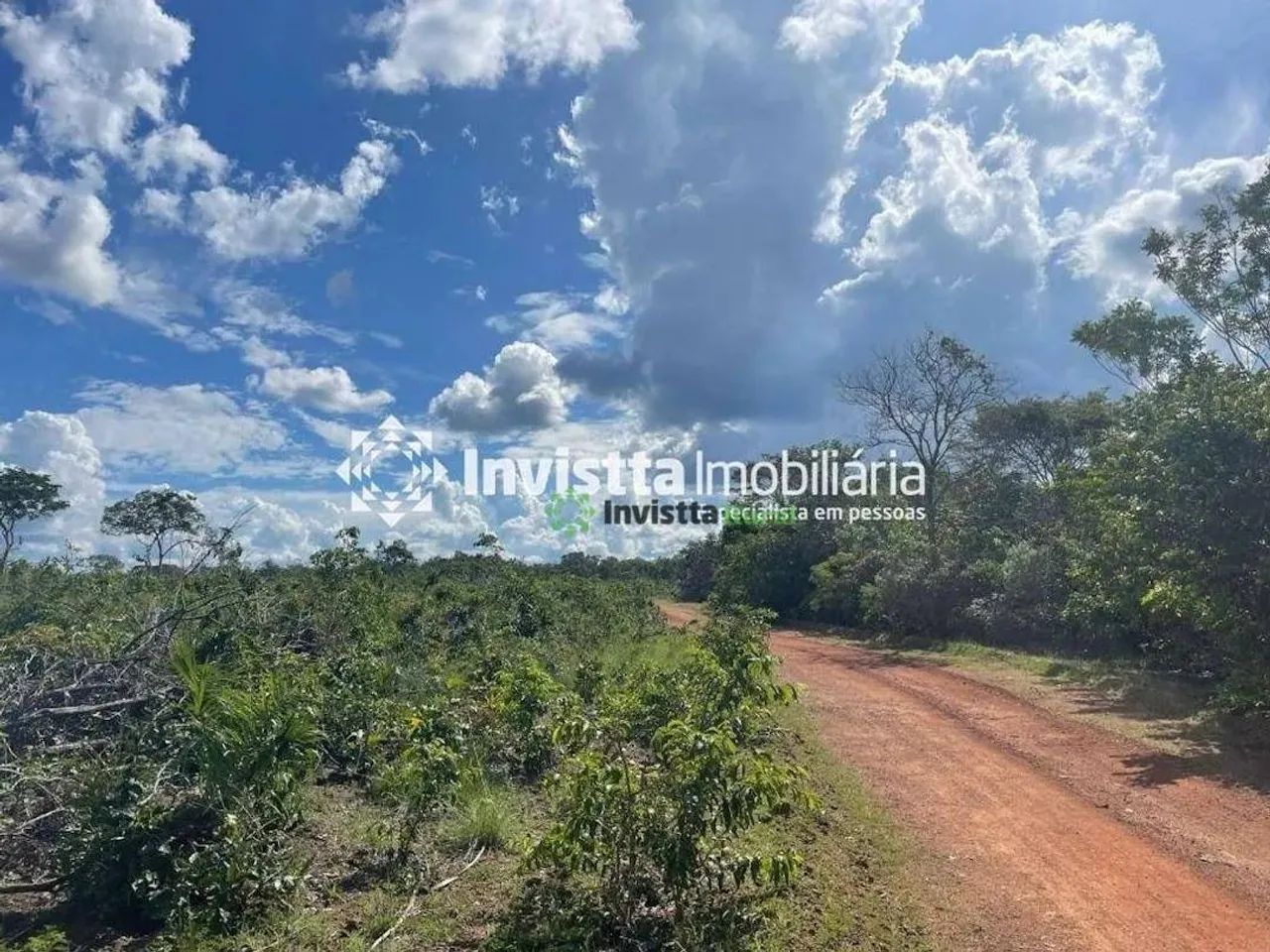 Fazenda de 58 alqueires em estágio de abertura no Tocantins - Foto 5