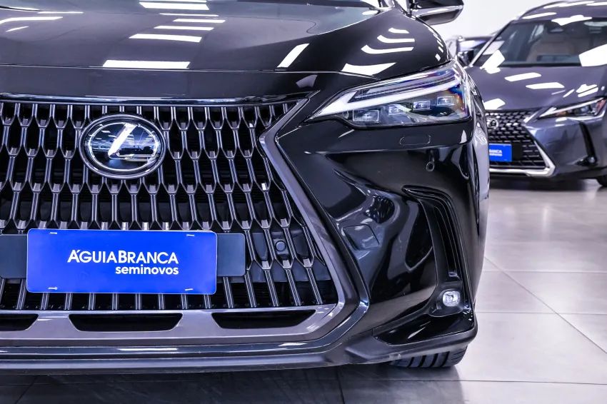 Lexus NX-350h Luxury 2.5 16V Aut. (hybrid), foto 4 de 19