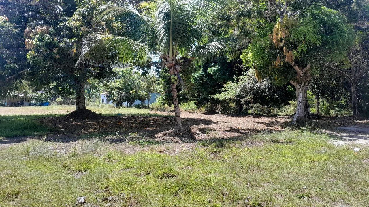 Vendo lote medindo 50x100  - Foto 5