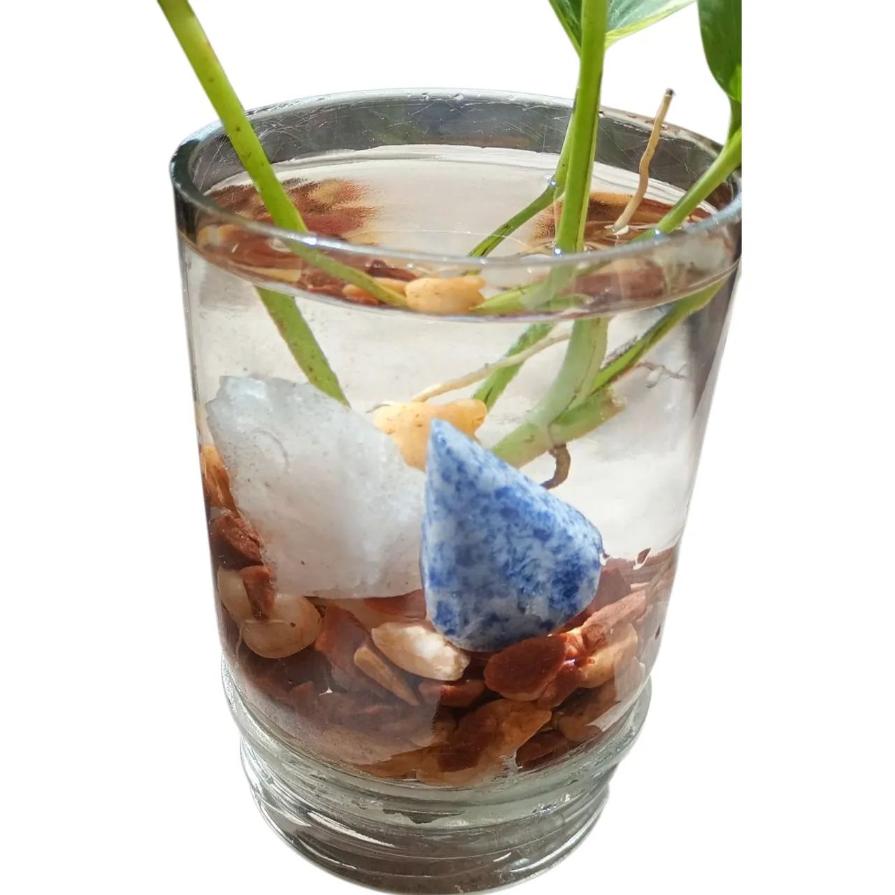 Vaso Decorativo Jiboia & Cristais - Foto 5