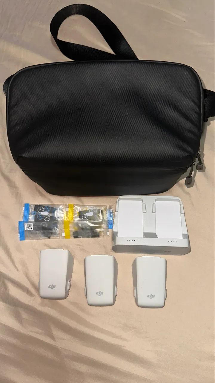 Fly More Dji Flip420251826977525760