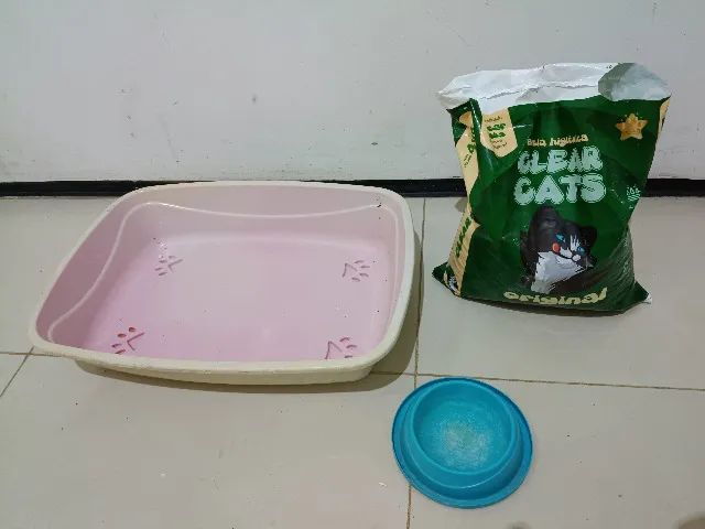Caixa de areia para gatos