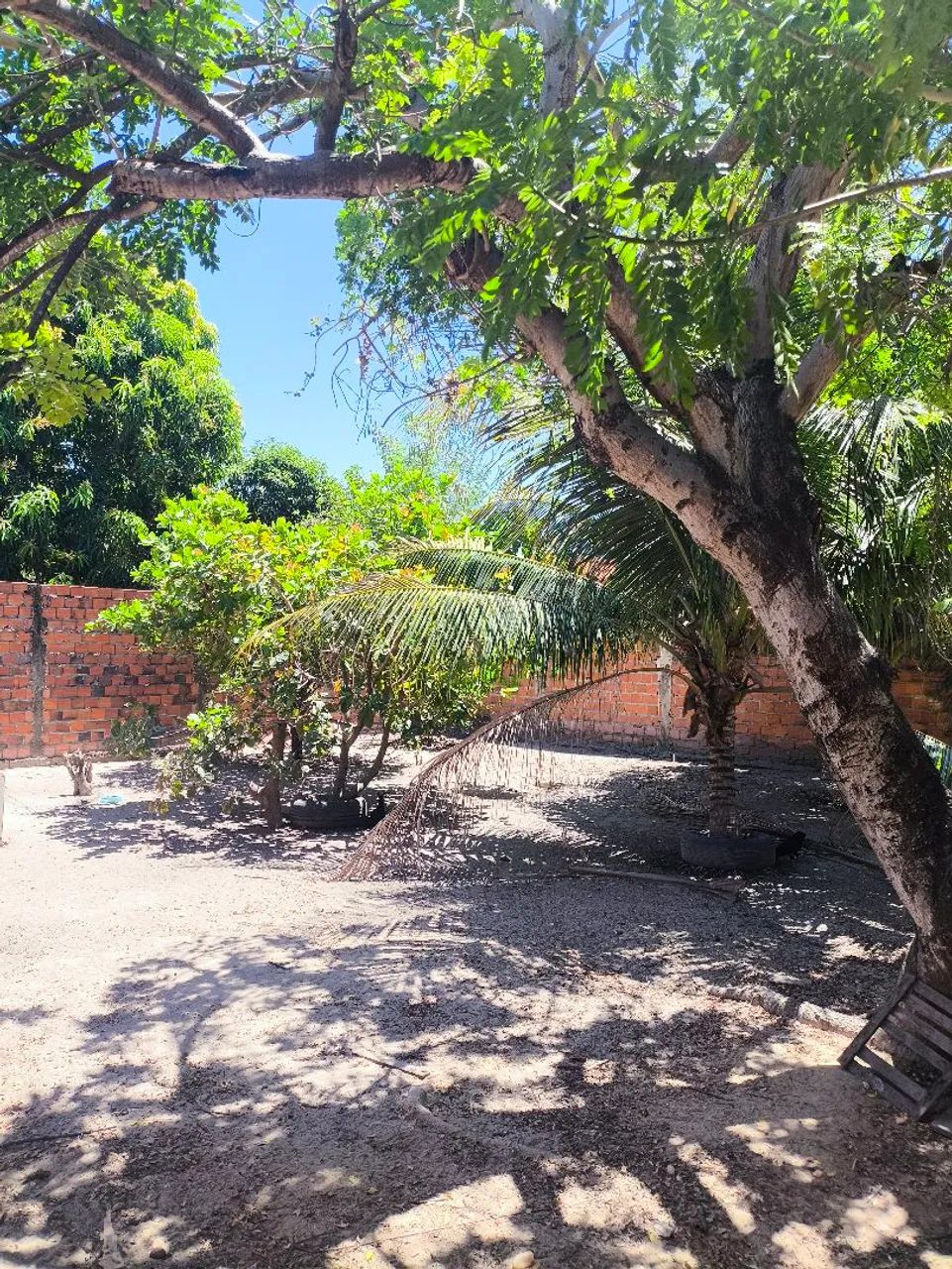 Vendo casa na pedra mole  - Foto 3