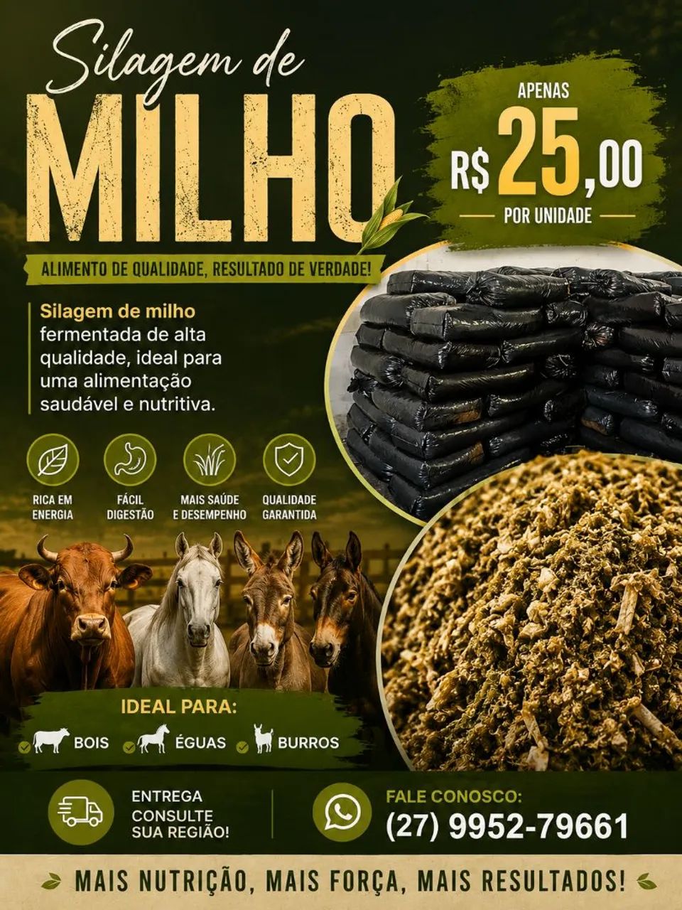 Silagem de cavalo 