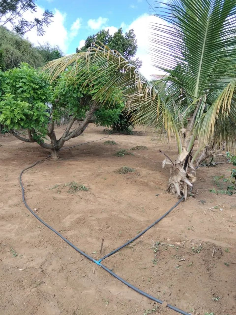 TERRENO 1200 M², ÁREA ÚTIL 900 MST² - Foto 4