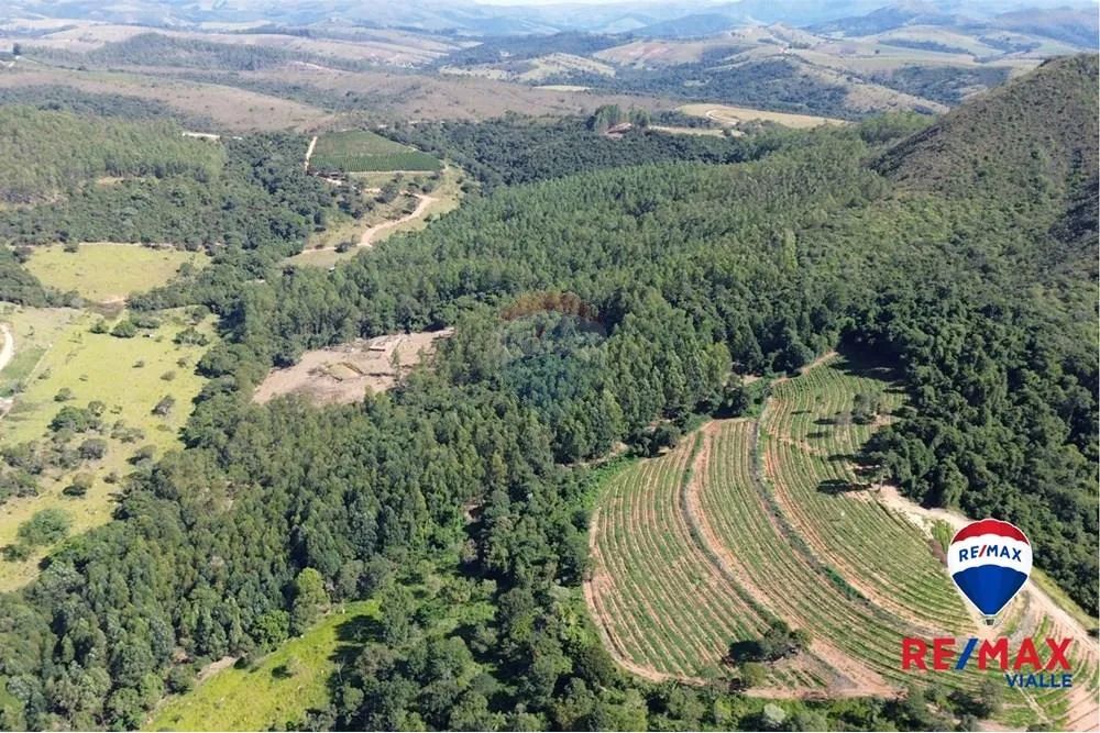 Fazenda Maracujá - Foto 3
