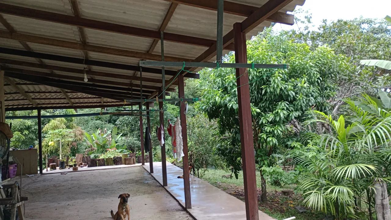Oportunidade - Vendo Casa em Chácara  - Foto 5