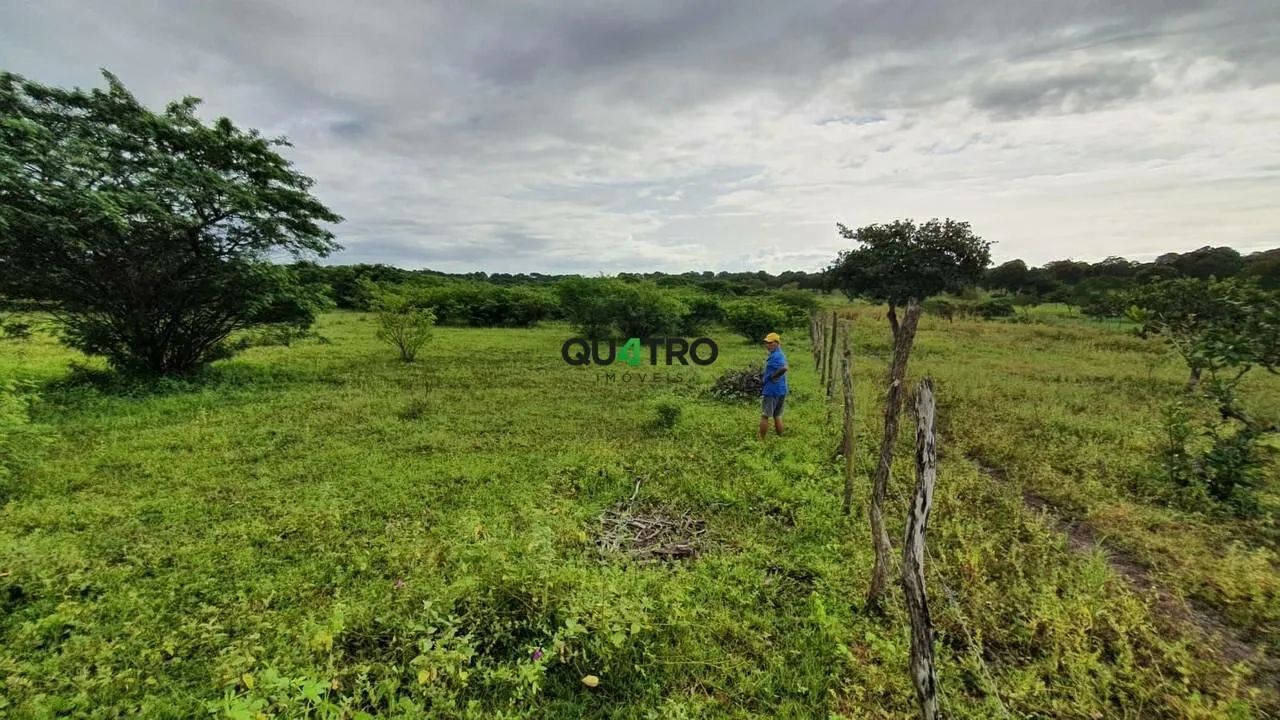 TERRENO RURAL À VENDA  BARREIRA/CE - Foto 4