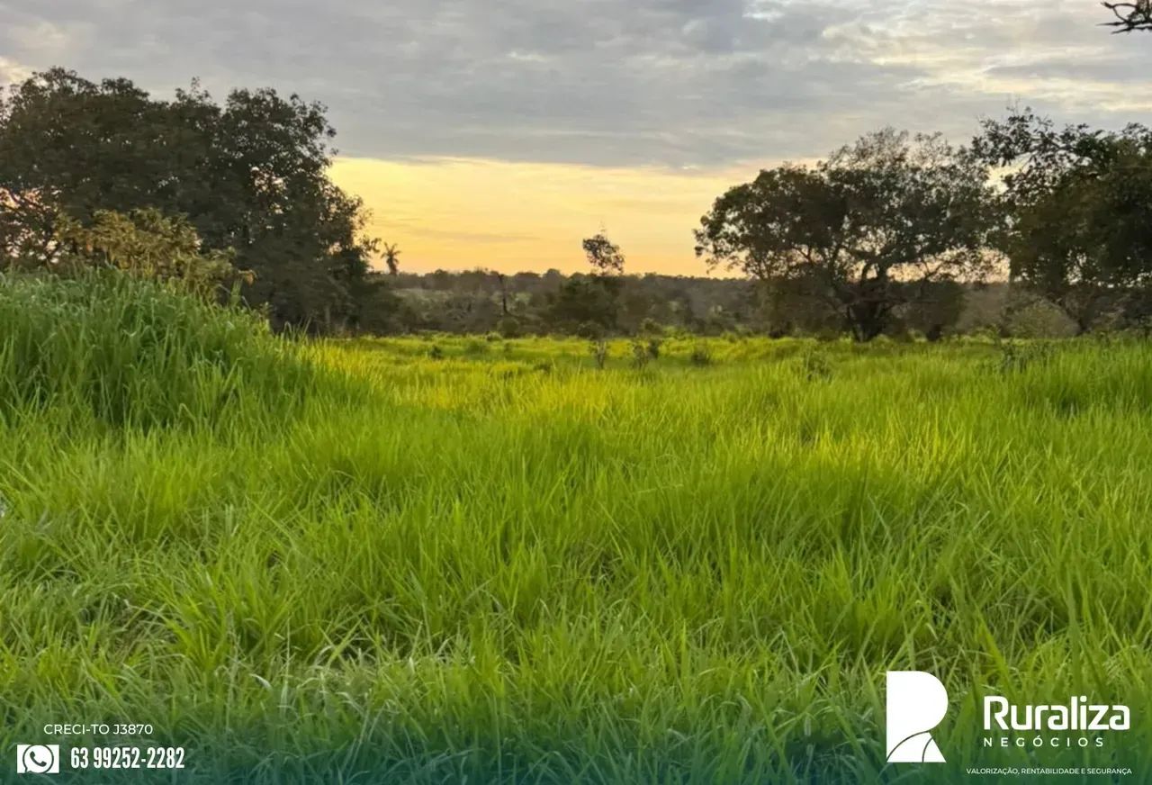 Fazenda Ideal Para Pecuária | Aceita troca Próximo a Araguaína. - Foto 4