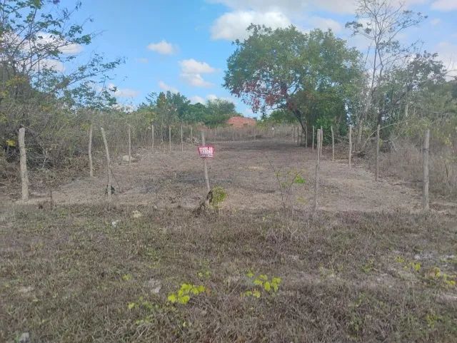 TERRENO HORIZONTE-CE (228 m2) - Foto 2