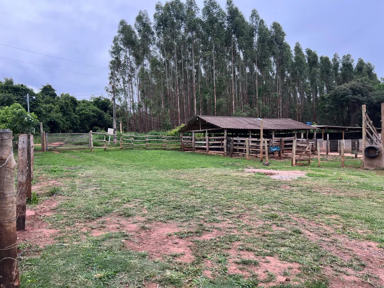Alugo ou vendo sítio - 20km de Udi