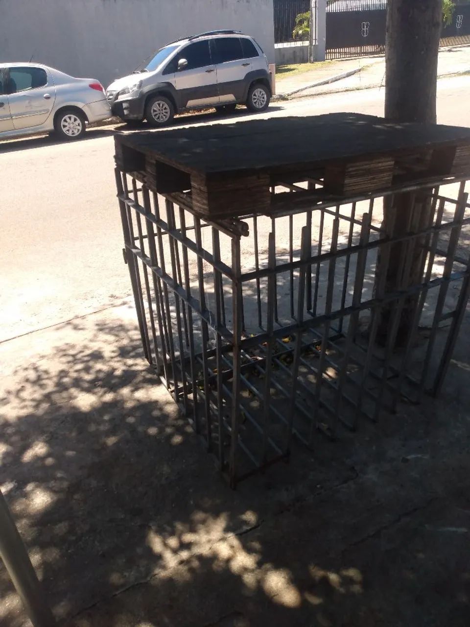 Gaiola para guardar coco Verde