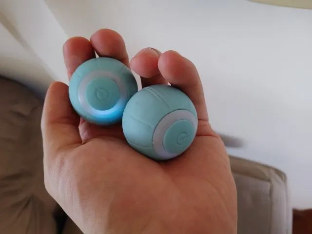 duas bolas giroscopio brinquedo para gatos cães - Foto 4