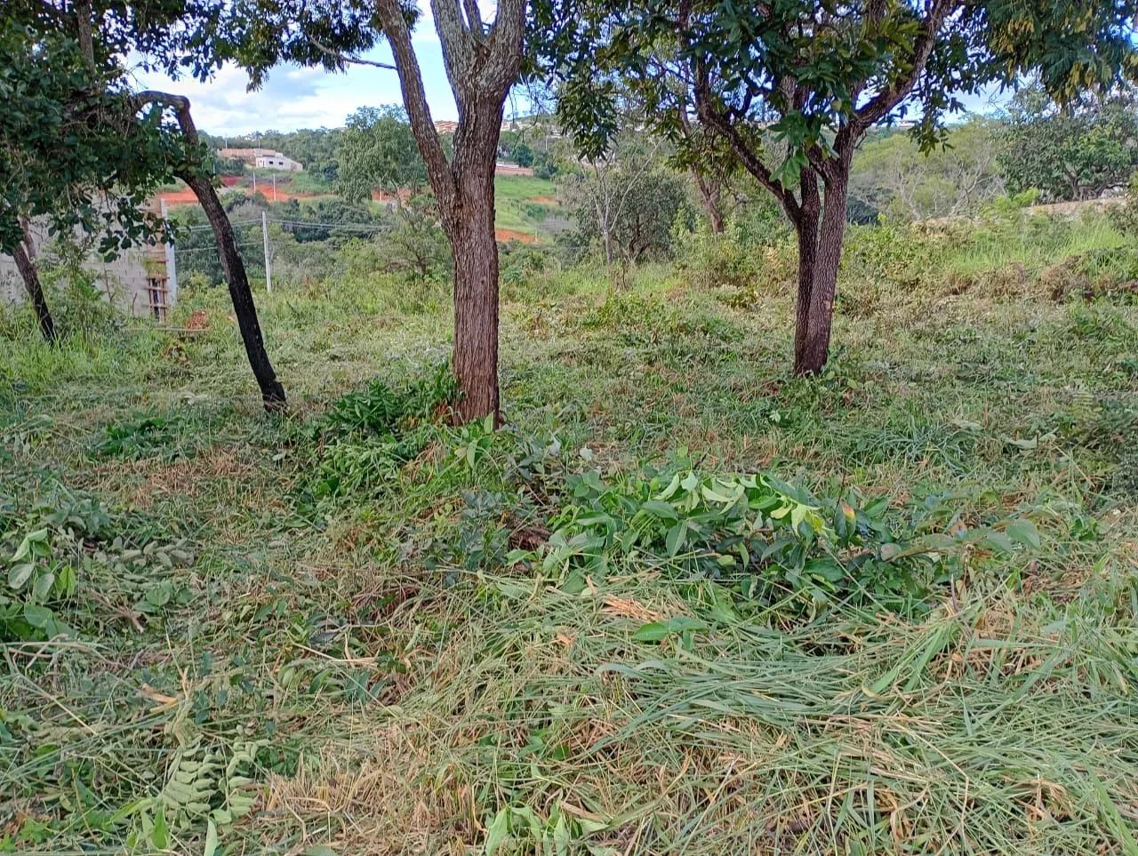 Lote em Lagoa Santa - Foto 3