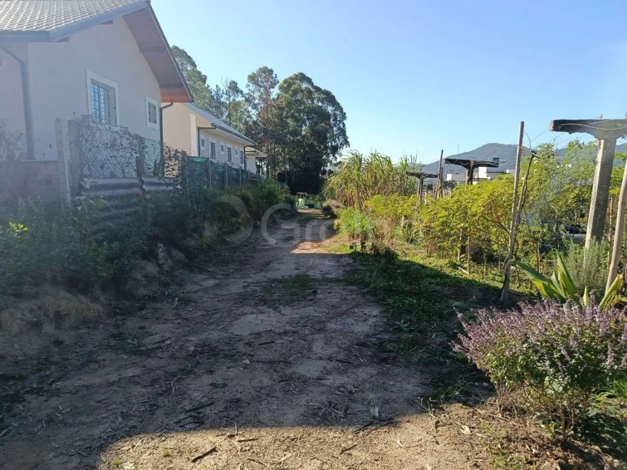 Terreno para Venda em Florianópolis, Pantanal - Foto 2
