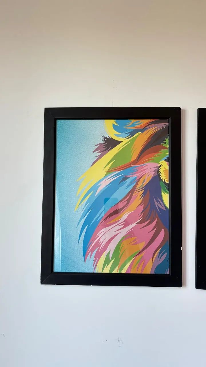 Quadros - Foto 5