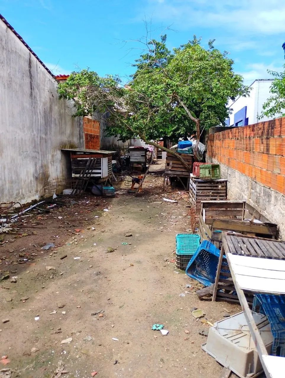Casa na Rua da Palmeira/ Capela-SE - Foto 3