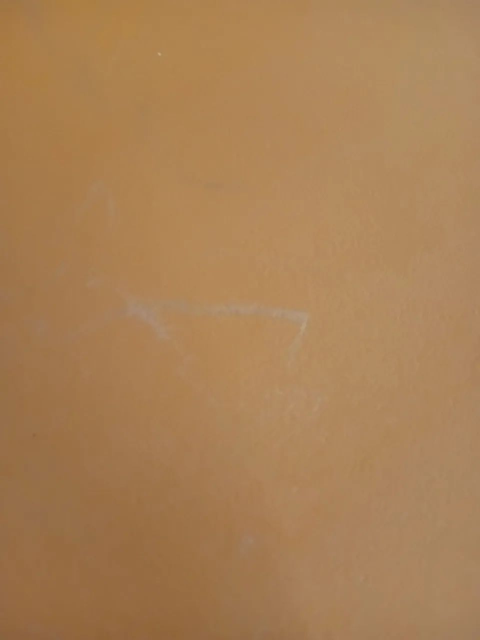 Cadeira Charles Eames New Wood Design Laranja - Foto 5