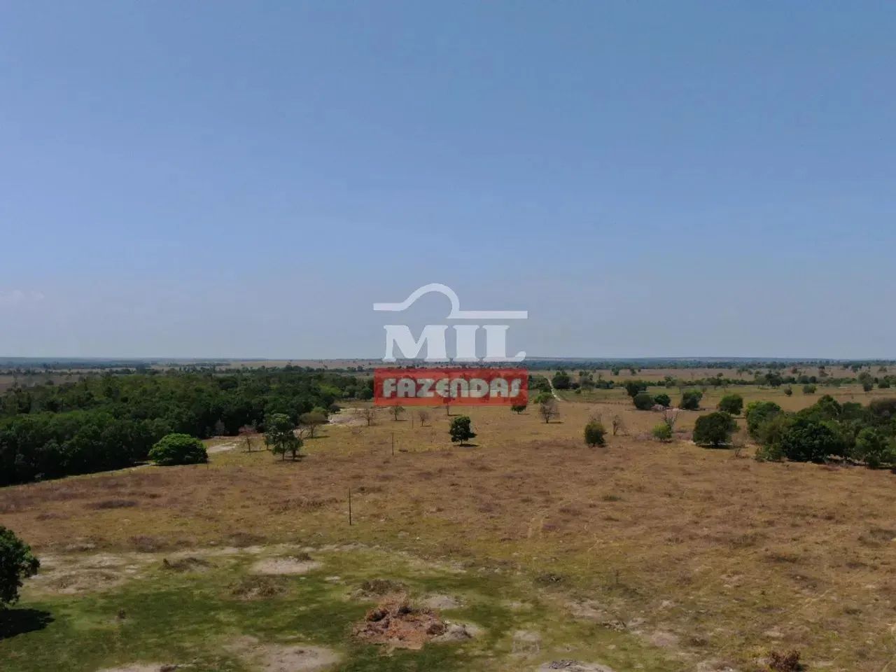 Fazenda 150 alqueires (726 hectares) Nova Crixas - Go