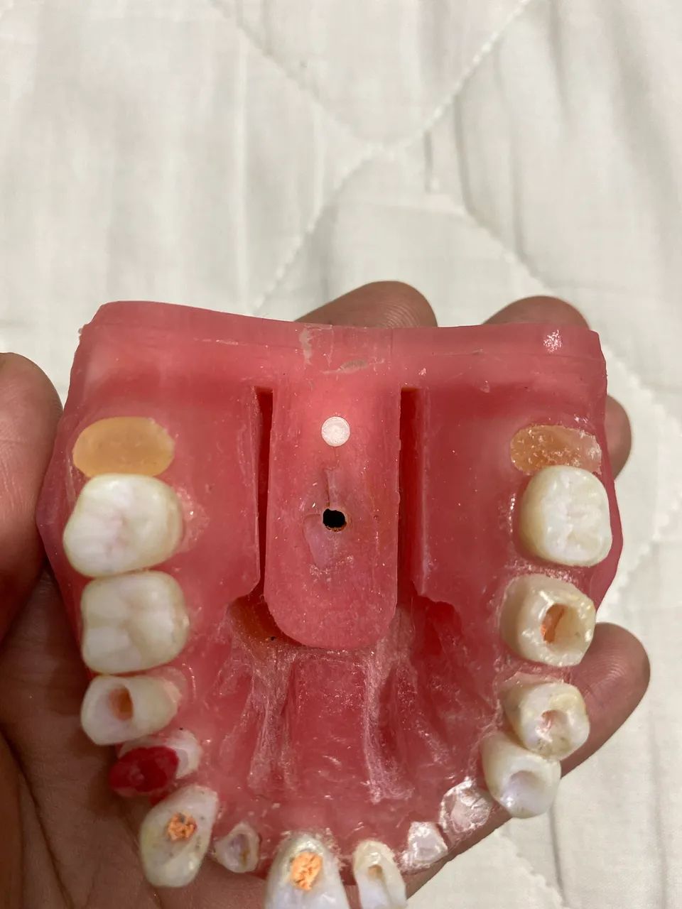 Manequim odontológico para endo  - Foto 2