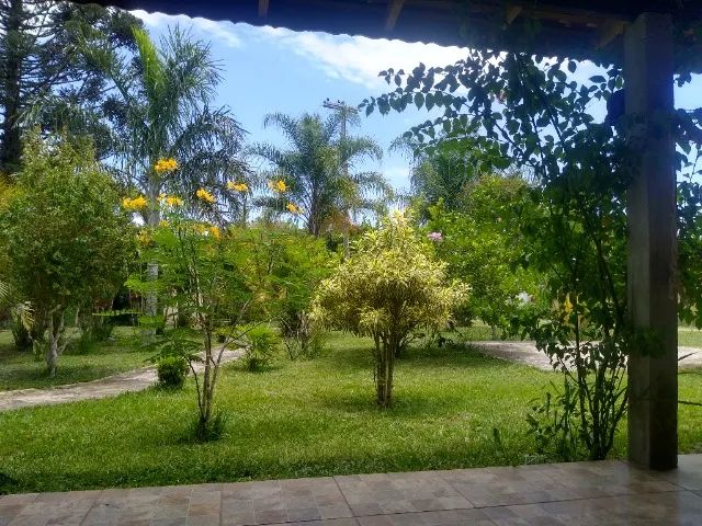 Foto - Porangaba - 