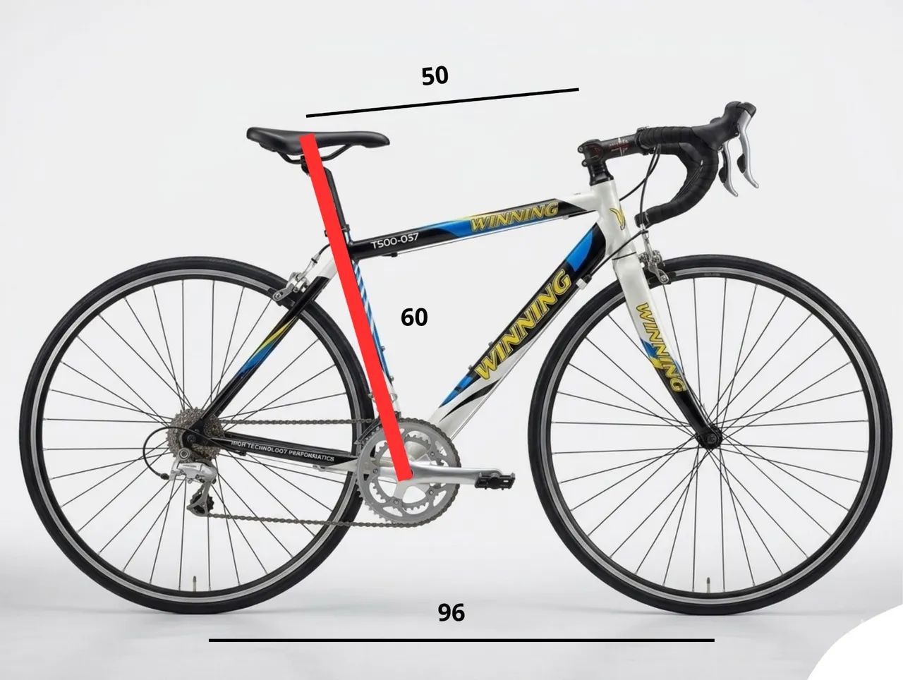 BICICLETA SPEED WINNING