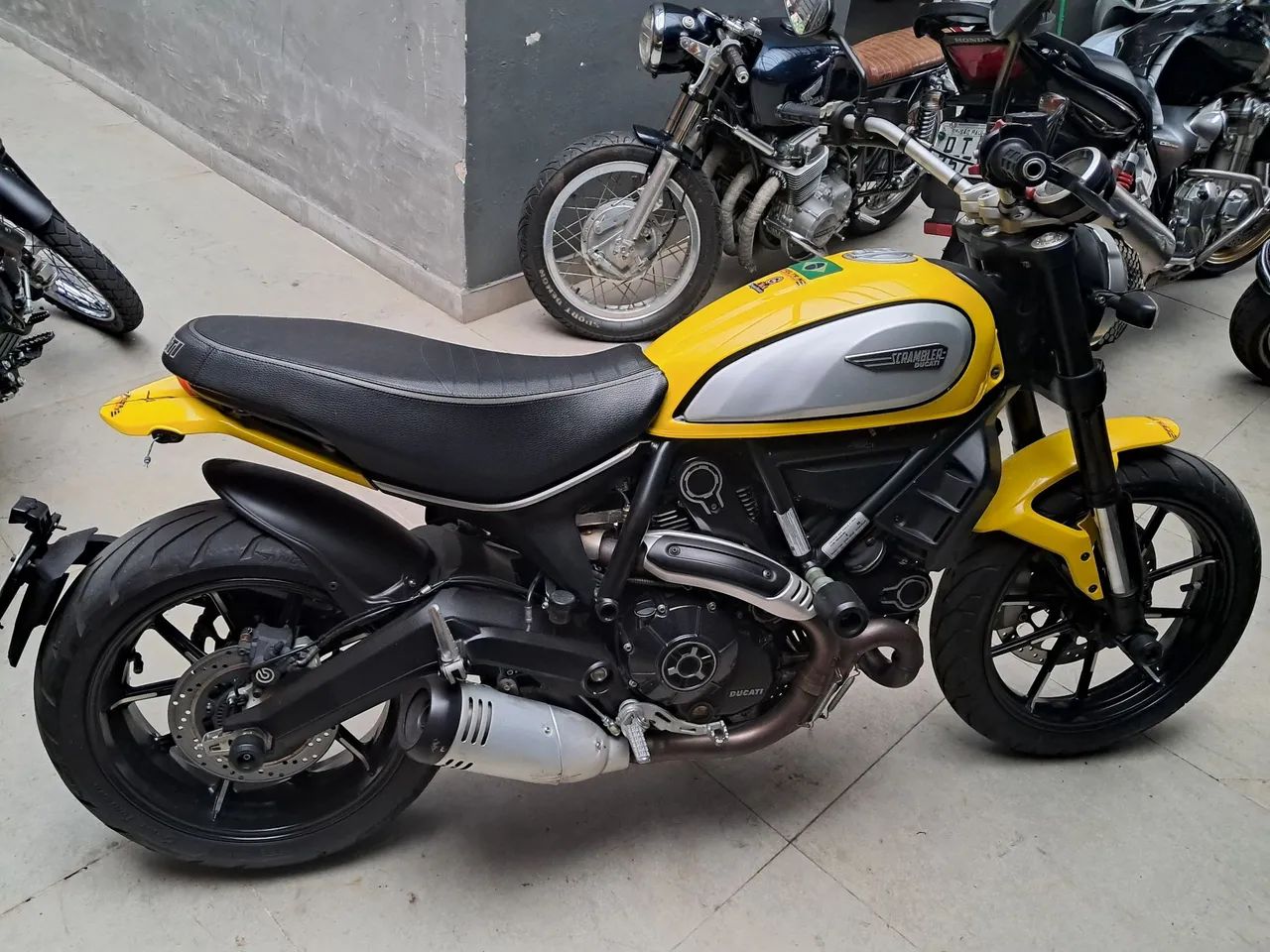 Ducat icon 800