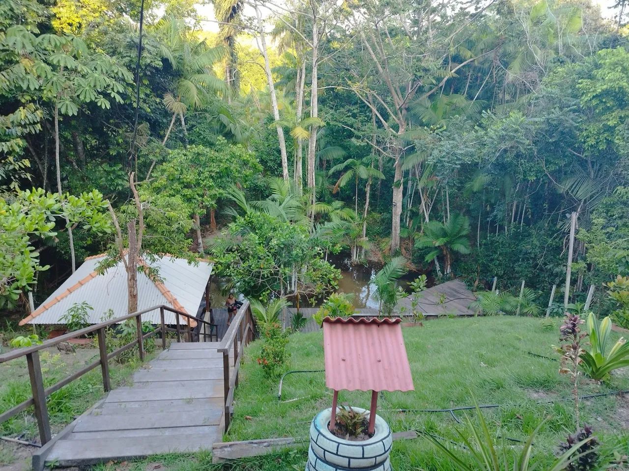 Vende se chácara  - Foto 3
