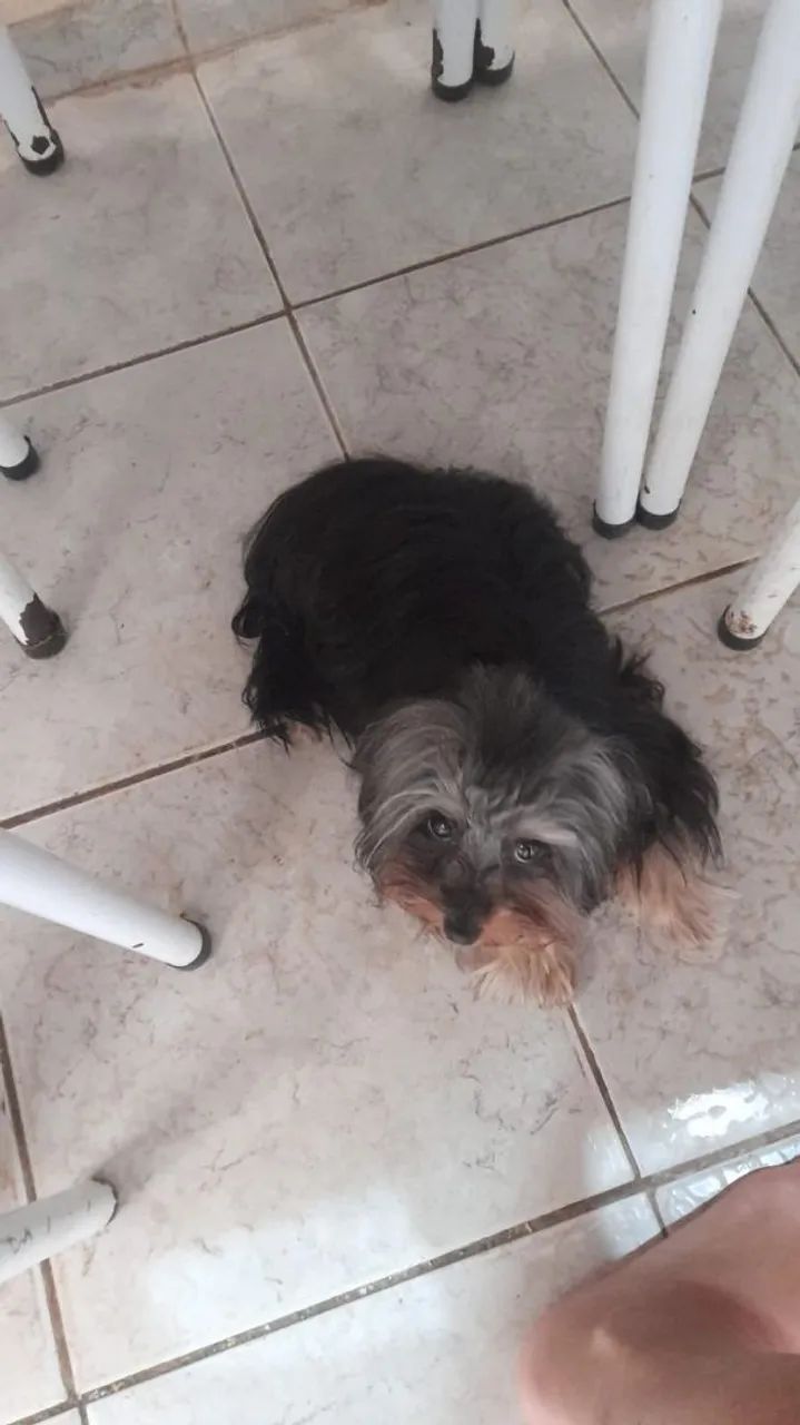 Vende-se - Foto 2