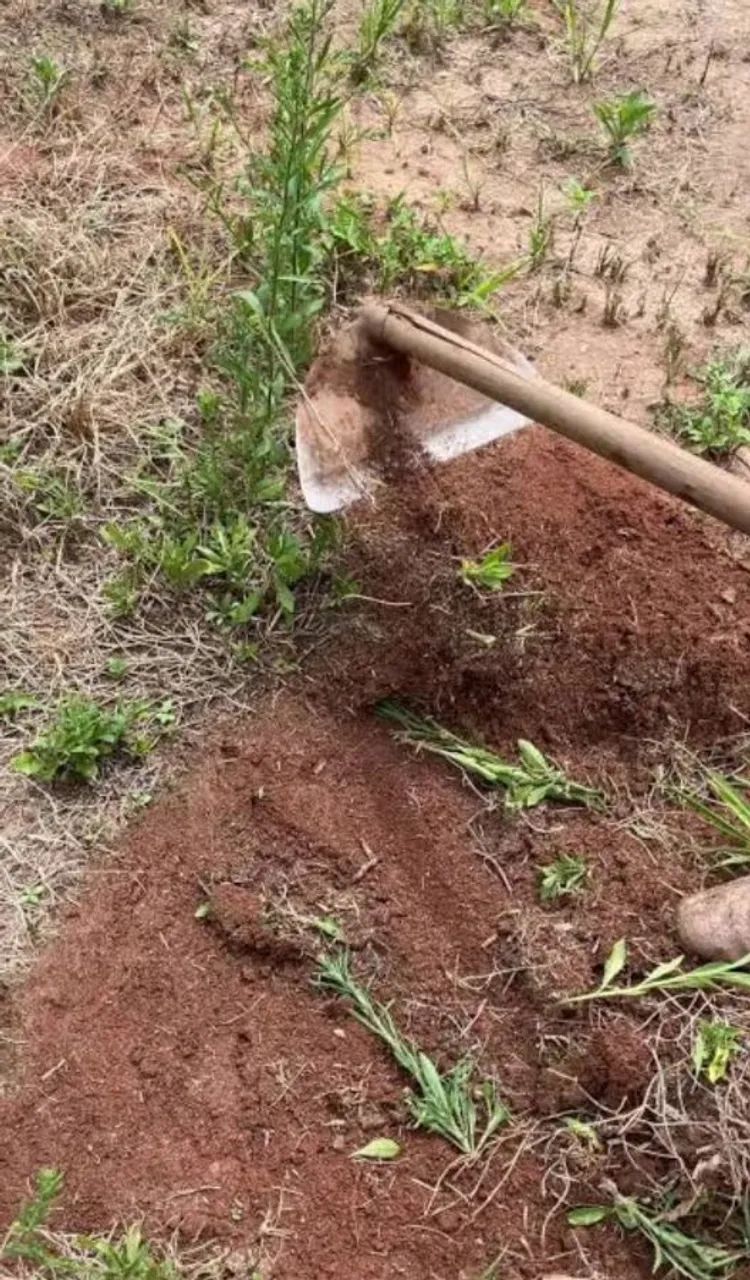 Capinador de terrenos