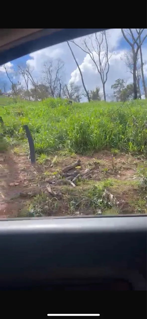 Fazenda em Minaçu - Foto 5