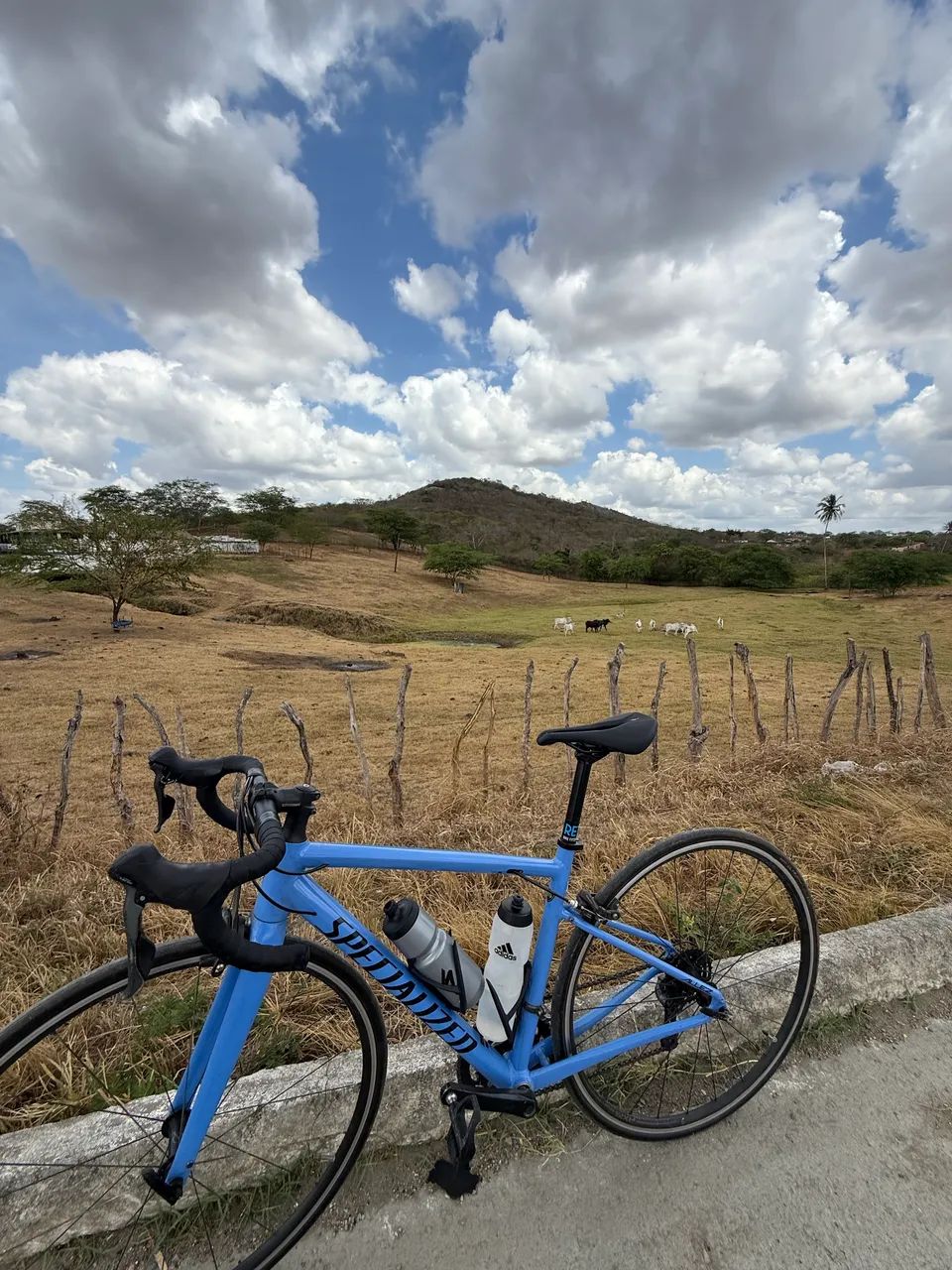 specialized allez tamanho 49