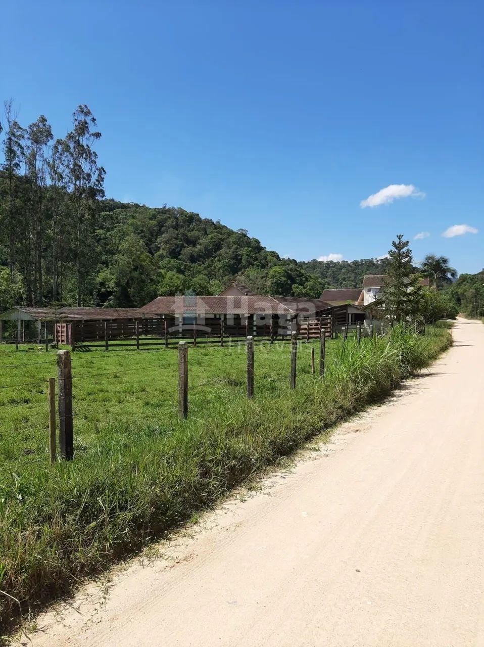 Sítio à Venda em Angelina/SC - Foto 4
