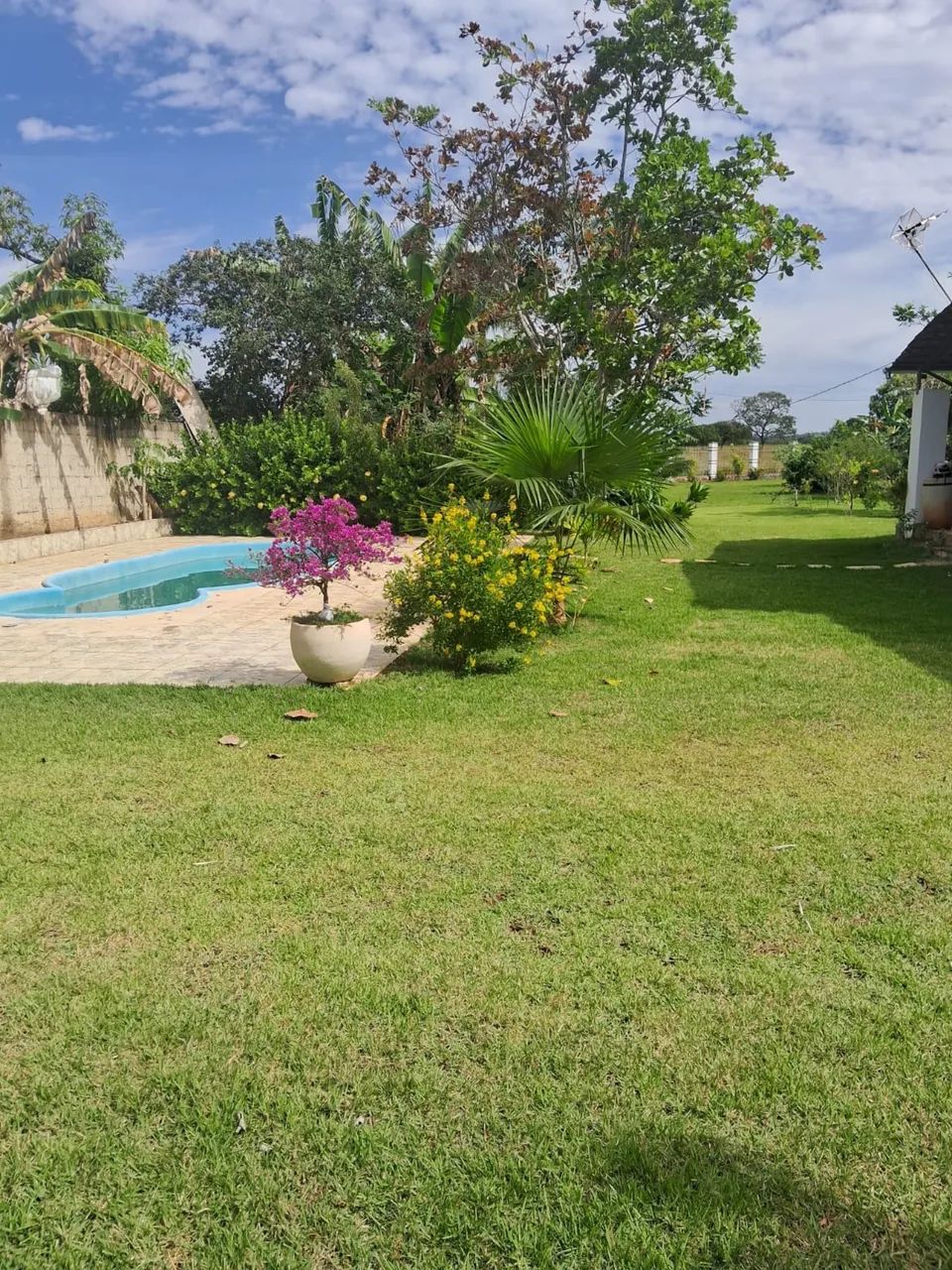 Chácara e venda  - Foto 3