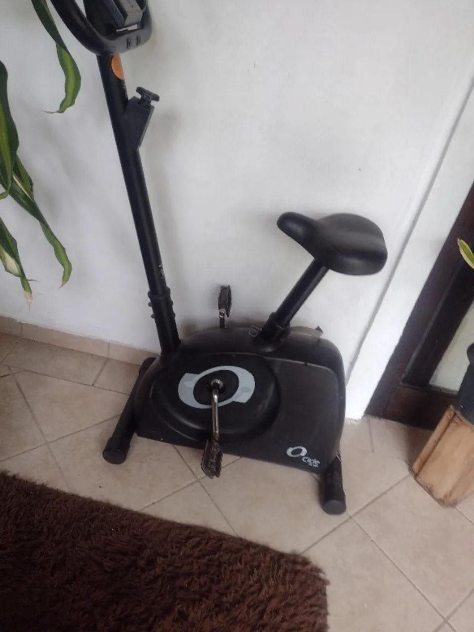 Bicicleta ergométrica 
