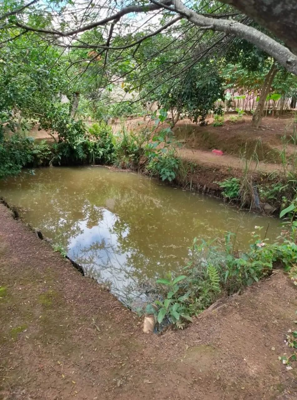 Vendo essa chácara casa  - Foto 3