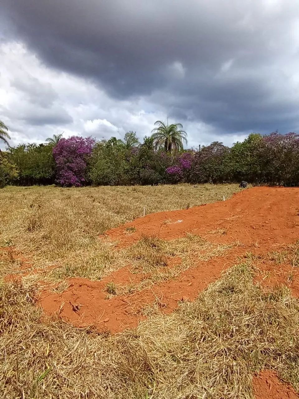 Terreno em serra azul Mateus leme  - Foto 5