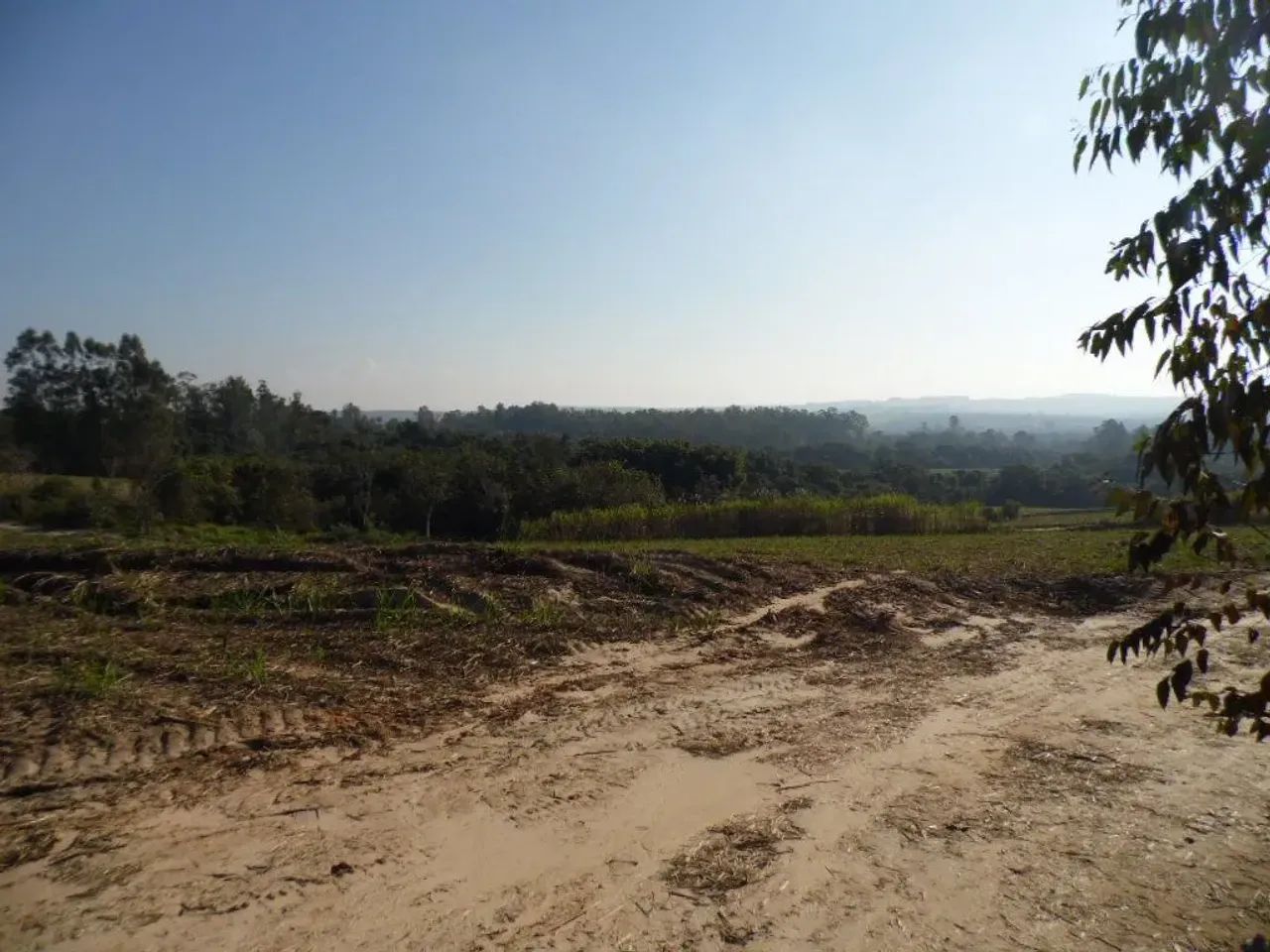 SITIO EM CONCHAS SP. - PROX. DA DIVISA COM ANHEMBI SP - Foto 4