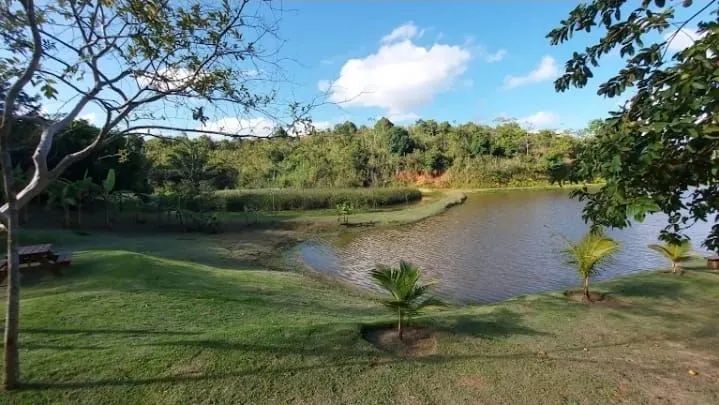 OPOTUNIDADE LOTE ALPHAVILLE PE 1 - Foto 3