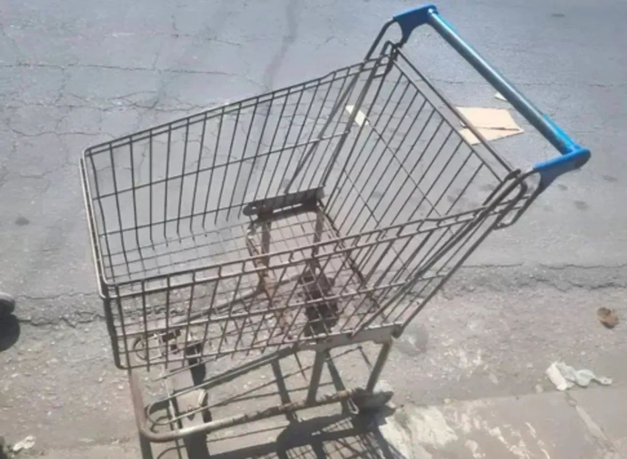 CARRINHO COMPRAS FERRO 