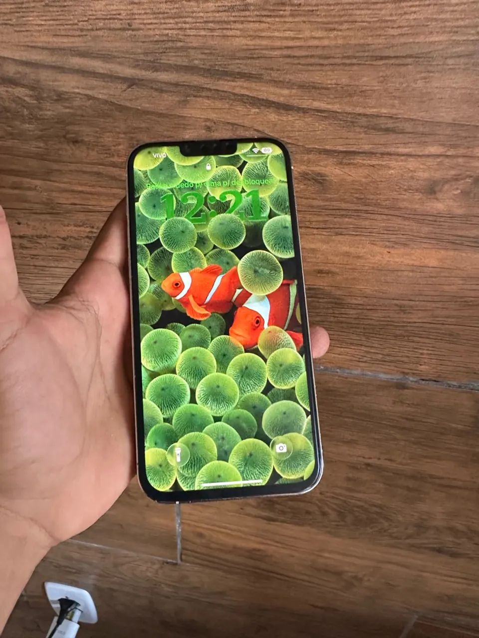 iPhone 13 Pro Max  - Foto 2