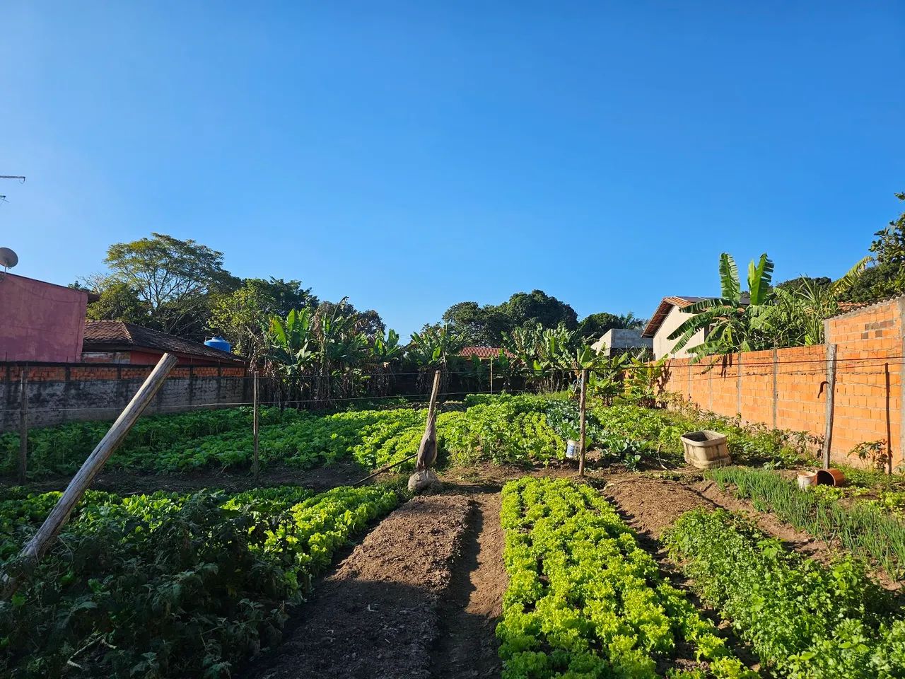 Terreno a venda em monte mor 