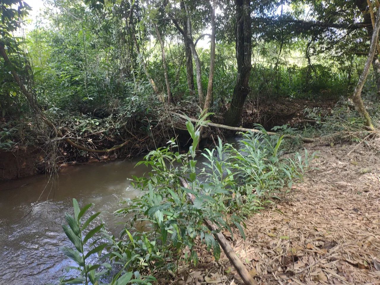 Terreno 2.000m² Ribeirão sozinha - Foto 3