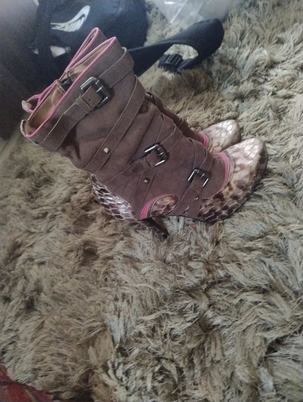 Bota