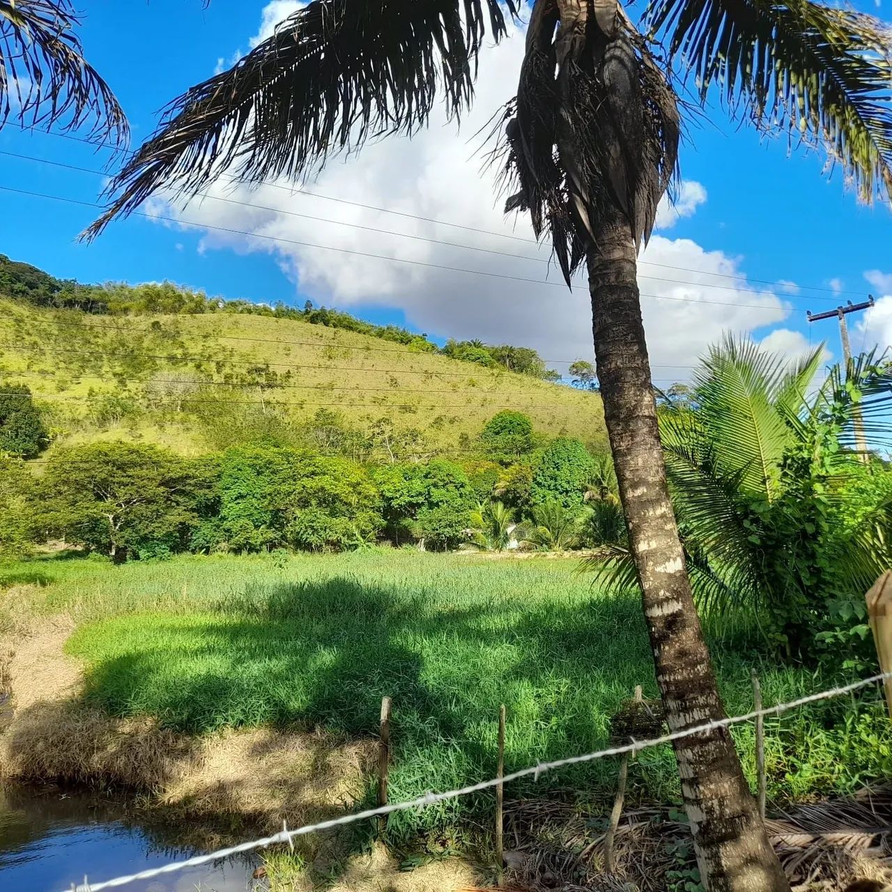 SITIO EM MURICI-AL!! - Foto 3