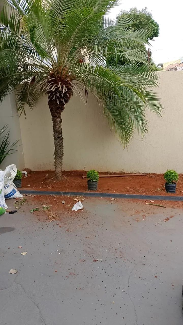 Jardineiro  - Foto 4