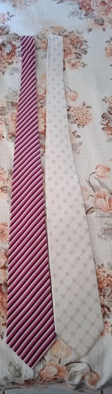 2 gravatas e um case 