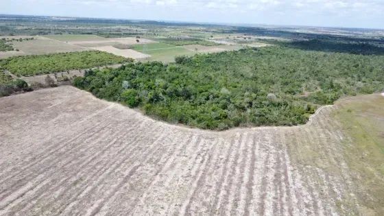 Fazenda com 270 hectares próximo a Macaíba - Foto 2